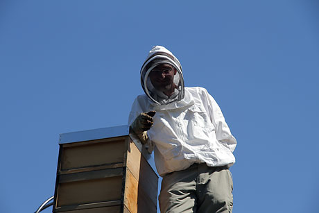 Bienenkasten auf der Pumpstation