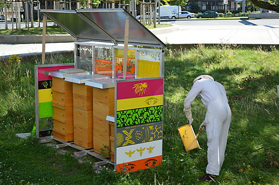 Honigernte am FrankFrankfurter Bienenhaus