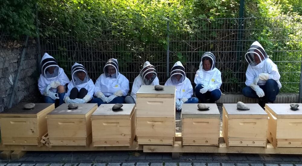 Gruppe von teilnehmern sitzend hinter bienenkästen
