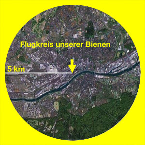 Luftbild von Frankfurt am Main